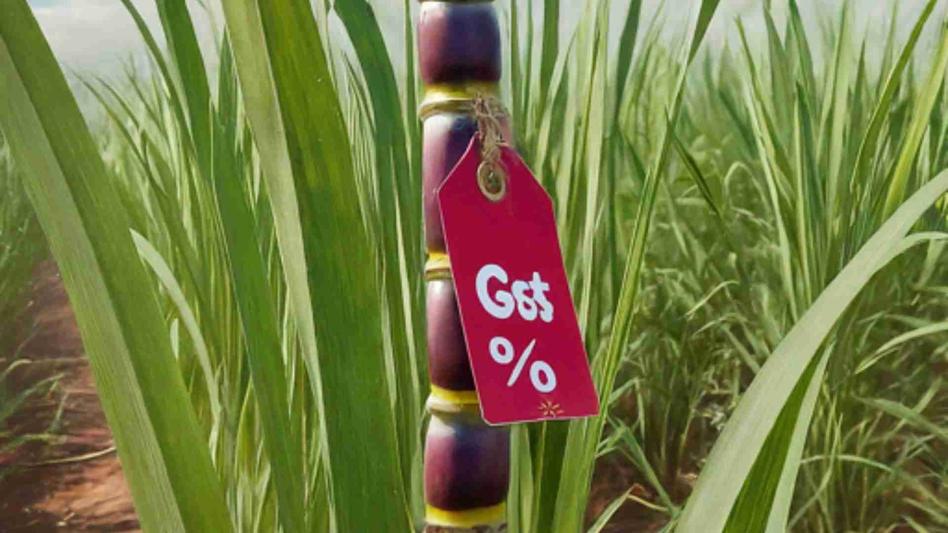 Understanding Rates & HSN Codes for Cane, Beet Sugar, & Sucrose